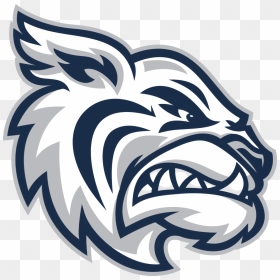 Thumb Image - Academy At The Lakes Wildcats, HD Png Download - wildcat png