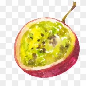 Hand Painted Cut Passion Fruit Png Transparent - Portable Network Graphics, Png Download - passion fruit png