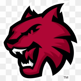 Wildcat Logo Black And White, HD Png Download - wildcat png