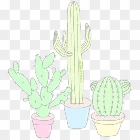 Aesthetics & Overlays Cacti, Tumblr Drawings, Cute - Hedgehog Cactus, HD Png Download - cacti png