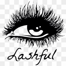 Lashful Eyelash Extensions - Eyelash, HD Png Download - eye lash png