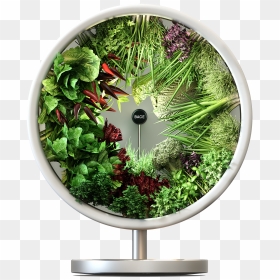 Circle Herb Indoor Garden, HD Png Download - fountain grass png
