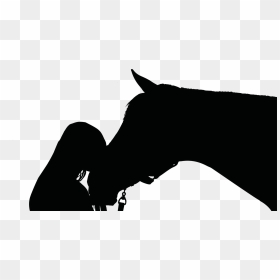 Girl Riding Horse Silhouette, HD Png Download - white feathers png