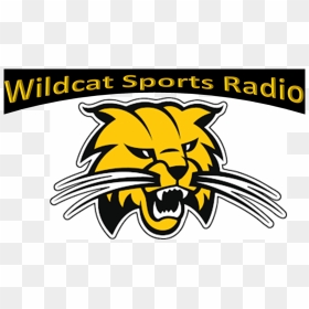 Wildcat Radio Log - Ohio Bobcats Logo, HD Png Download - wildcat png