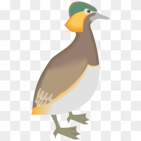 Animals, HD Png Download - beak png