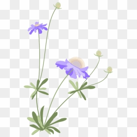 Portable Network Graphics, HD Png Download - japanese flower png