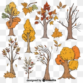 Set Of Fall Trees Vector, HD Png Download - fall trees png