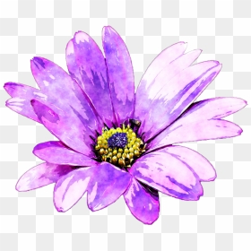 Watercolour Flower Png Image Free Stock - Purple Flowers Watercolor Png, Transparent Png - daisy flower png