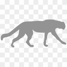 Cheetah Silhouette, HD Png Download - wildcat png