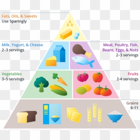 Diagram , Png Download - Diagram Of Food Pyramid, Transparent Png - food pyramid png