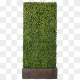 Boxwood Hedge Shrubs Artificial Png - Hedge, Transparent Png - topiary png
