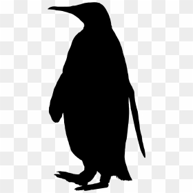 Penguin Clip Art Fauna Silhouette Beak - Transparent Penguin Silhouette, HD Png Download - beak png
