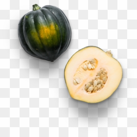 Calabaza , Png Download - Calabaza, Transparent Png - calabaza png