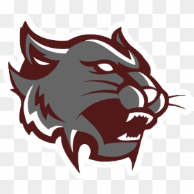 Transparent Wildcat Png - Mount Vernon Indiana High School Mascot, Png Download - wildcat png