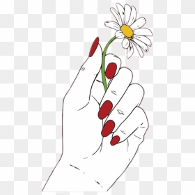 #daisy #flower #red #hand #nails #white #draw #tumblr - Hand Holding Flower Drawing, HD Png Download - daisy flower png