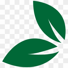 Leaf , Png Download, Transparent Png - hoja png