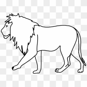 Lion, Big Five, Wildcat, Maneater, Africa, King, Mane - Walking Lion, HD Png Download - wildcat png