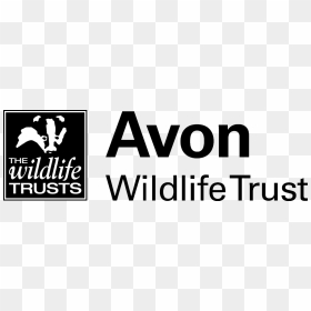 Home - Avon Wildlife Trust Logo, HD Png Download - avon logo png