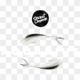 Sustainable Seafood , Png Download - Grey Whale, Transparent Png - aquarius png