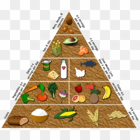 Hold An Event Where You Build The Food Pyramid With - Christmas Tree, HD Png Download - food pyramid png