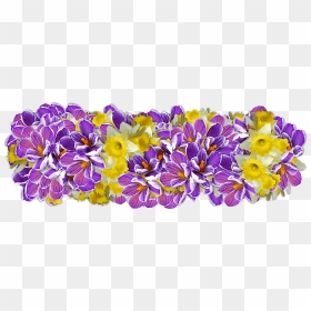 Daffodil Presentation Clip Arts - Linea Flores Png, Transparent Png - presentation png