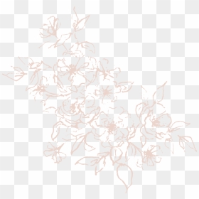 Illustration Light Pink High Res - Sketch, HD Png Download - flower sketch png