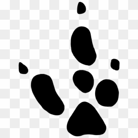 Steps Vector Rabbit Footprint - Kangaroo Footprint Clipart, HD Png Download - paw print trail png