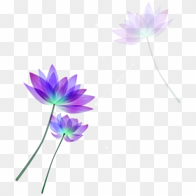 Lotus Vector Free Download Clipart , Png Download - Lotus Vector Free Download, Transparent Png - lotus vector png
