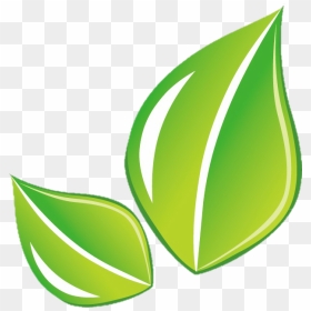 #leaf #hoja #green #png, Transparent Png - hoja png