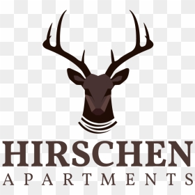 Hirschen Logo Presentation - Elk, HD Png Download - presentation png