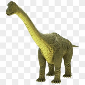 Thumb Image - Brontosaurus Png, Transparent Png - brontosaurus png