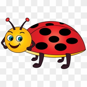 Transparent Ladybug Clipart Png - Cartoon Ladybird Clipart, Png Download - ladybug clipart png