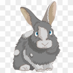 Rabbit Clipart - Królik Png, Transparent Png - rabbit clipart png