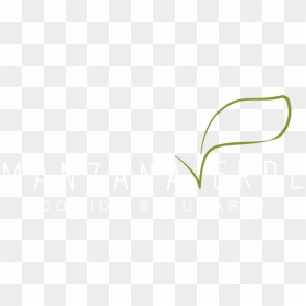 Logo De Manzana Png , Png Download - Logo De Manzana Png, Transparent Png - manzana png