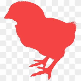 Baby Chick Silouette Clip Art, HD Png Download - chicken silhouette png