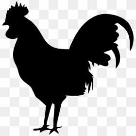 Rooster Icon Png, Transparent Png - chicken silhouette png