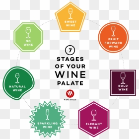 Stages Of Wine Drinking, HD Png Download - wine icon png
