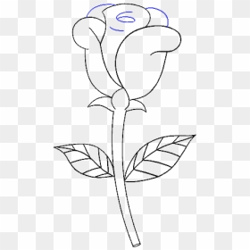 How To Draw A Simple Rose - Sketch, HD Png Download - flower sketch png
