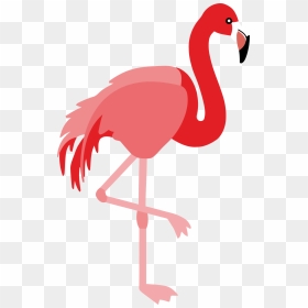 Flamingo Clipart Png - Png Clipart Flamingo Clipart, Transparent Png - flamingo clipart png
