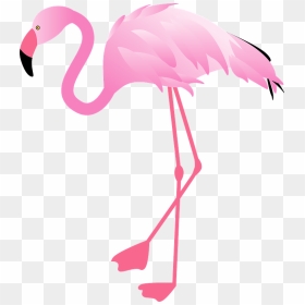Flamingo Clipart - フラミンゴ フリー 素材, HD Png Download - flamingo clipart png