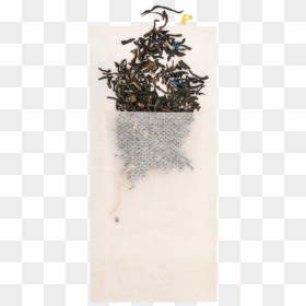 Christmas Tree, HD Png Download - photo filter png