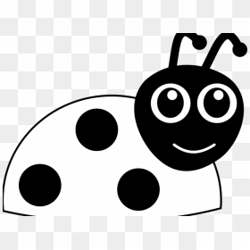 Cute Ladybug Clipart - Clip Art Black And White Ladybug, HD Png Download - ladybug clipart png