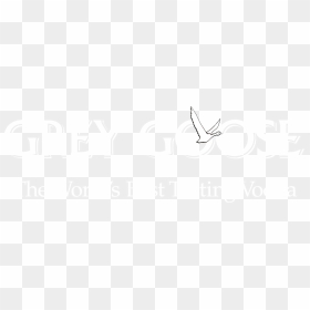 Transparent Grey Goose Vodka Png - Harper Chalice Group Limited, Png Download - grey goose png