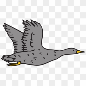 Goose Clipart Grey Goose - Geese Clip Art Flying, HD Png Download - grey goose png