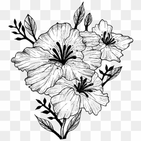 Flower Sketch Png, Transparent Png - flower sketch png