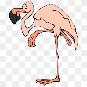 Flamingo Free To Use Clip Art - Flamingo Clip Art, HD Png Download - flamingo clipart png