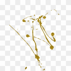 Scb Polinaivko Ivkollc Goldsplatter 1000 - Splatters, HD Png Download - gold splatter png
