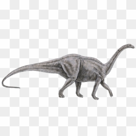 #dinosaur #brontosaurus I Think - Brontosaurus Transparnet, HD Png Download - brontosaurus png