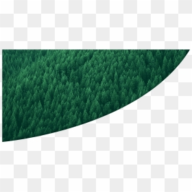 Tree, HD Png Download - dry grass png