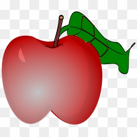 Free Download Cherry Clipart Candy Apple Clip Art - Apple, HD Png Download - apple clip art png